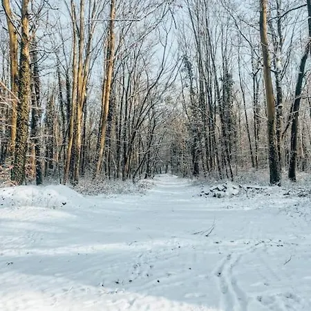 Le Val En Chêne * Choisy-au-Bac